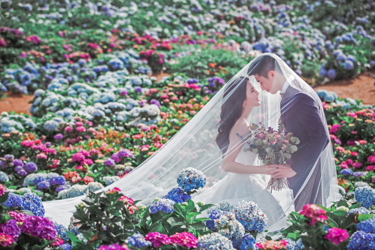 陽明山 │ 竹子湖 - 已搬