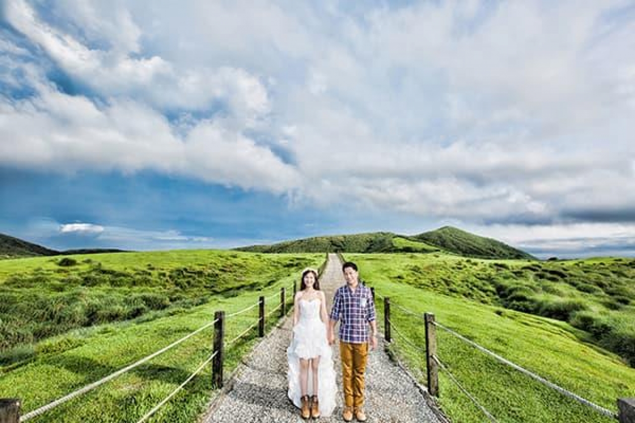 陽明山 │ 擎天崗 - 已搬