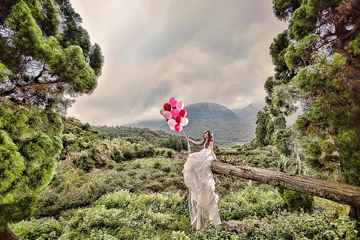 陽明山 │ 茶花園+水杉園+松園禪林 - 已搬