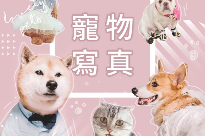 ｜寵物寫真｜優惠方案 ｜