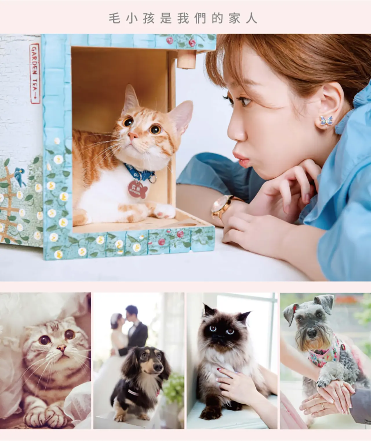 ｜寵物寫真｜寵物攝影 ｜