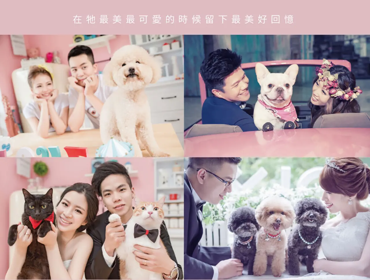 ｜寵物寫真｜寵物攝影 ｜