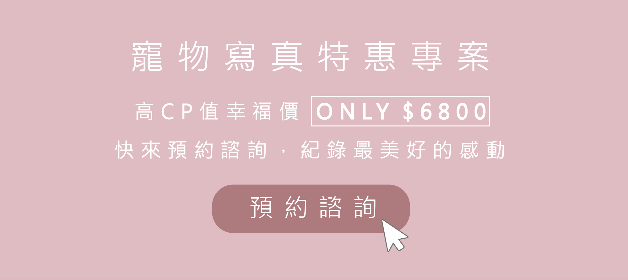 ｜寵物寫真｜寵物攝影 ｜