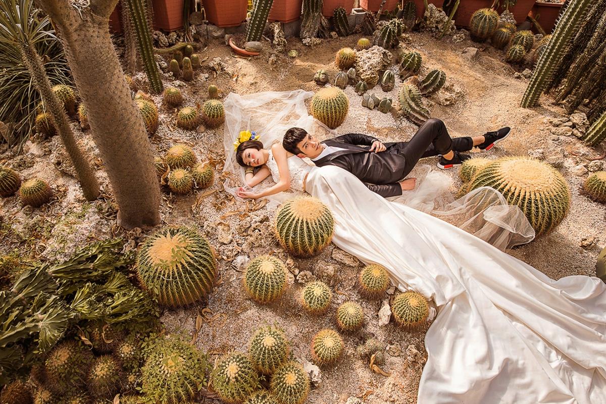 北投區 │ 仙人掌園 - 已搬