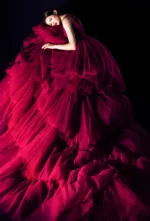 紅絕·深語晚宴禮服