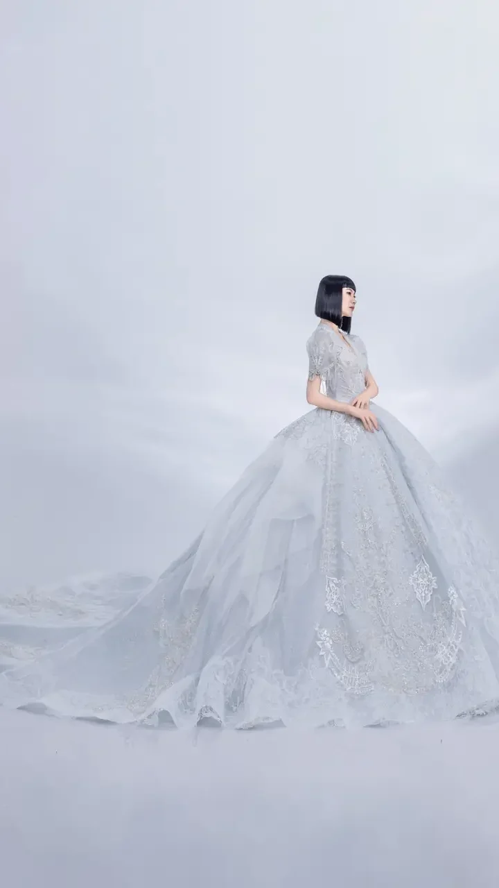 銀視界白紗禮服