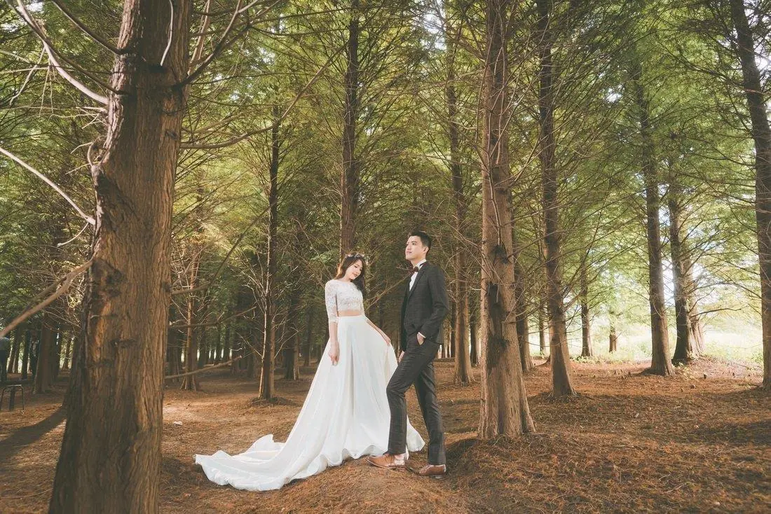 太驚訝，這真的只是毛片?