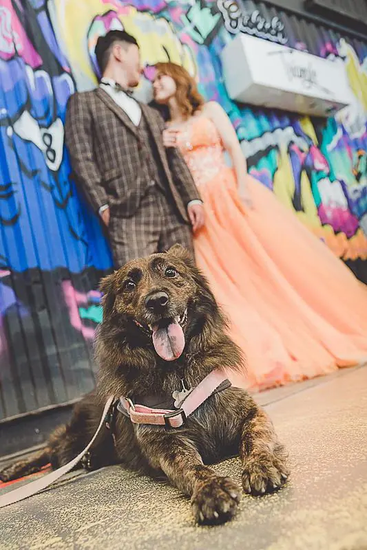 整個拍攝呈現也讓我非常驚嘆啊